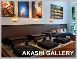 Akshi gallery 1